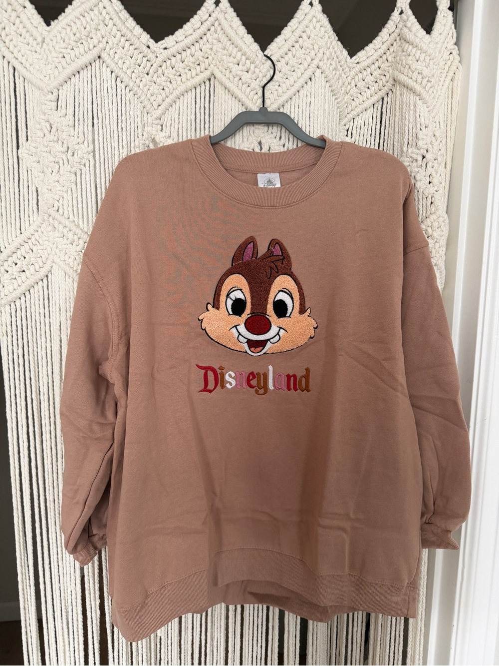 NWOT Disneyland Dale fleece hoodie - L